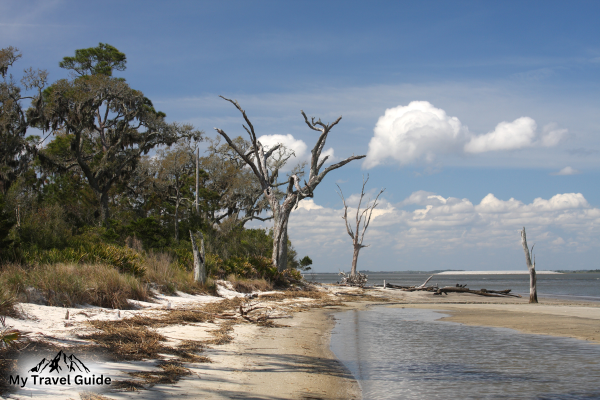 Jekyll-Island-Campground