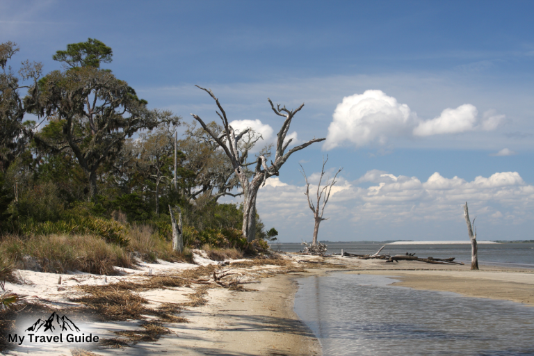 Exploring Jekyll Island Campground: A Nature Lover’s Paradise