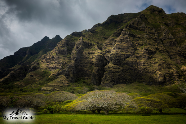 Jurassic Park Filming Locations