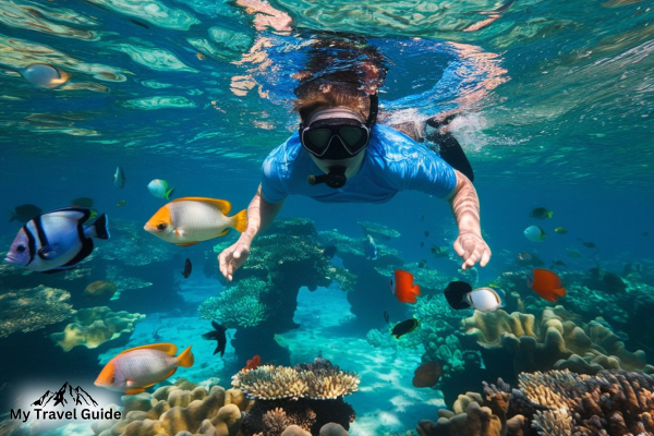 The Best Destinations For An Amazing Snorkelling Experience