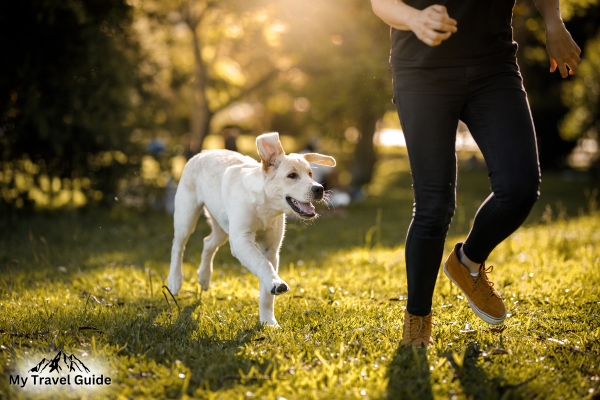 The Most Dog-Friendly Resorts in the US