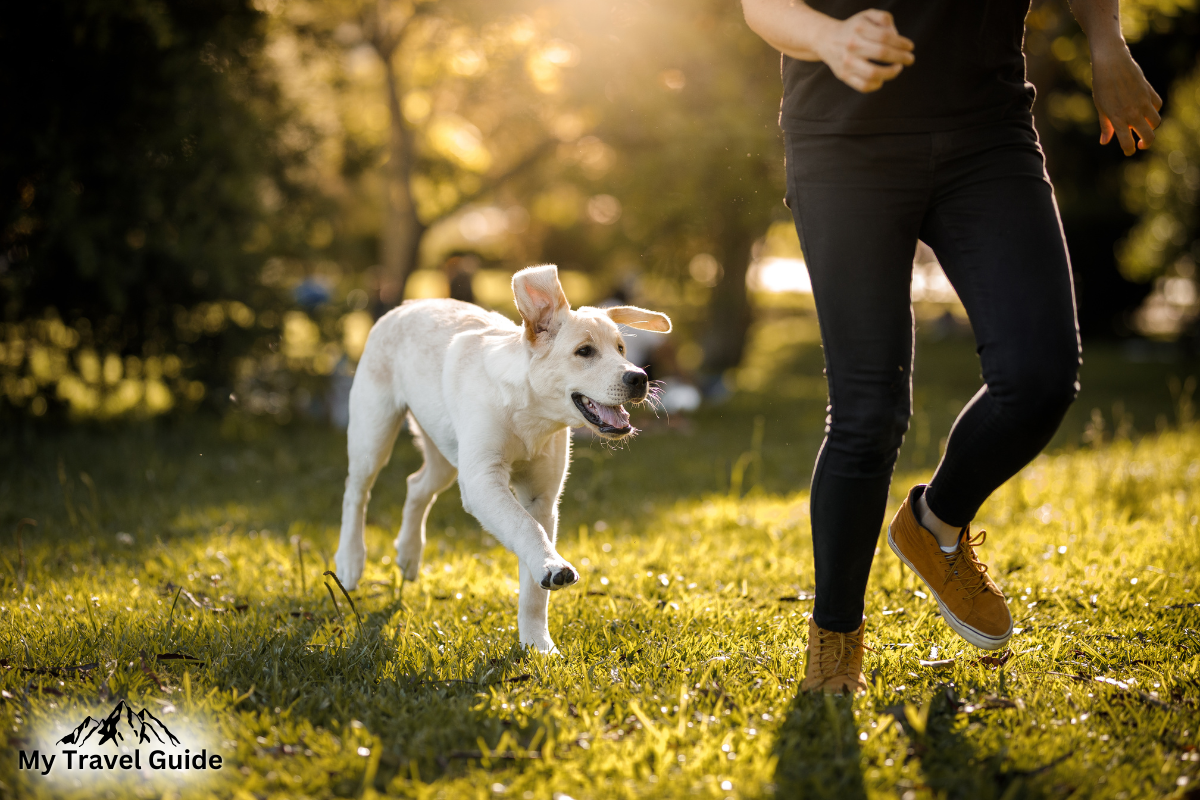 The Most Dog-Friendly Resorts in the US