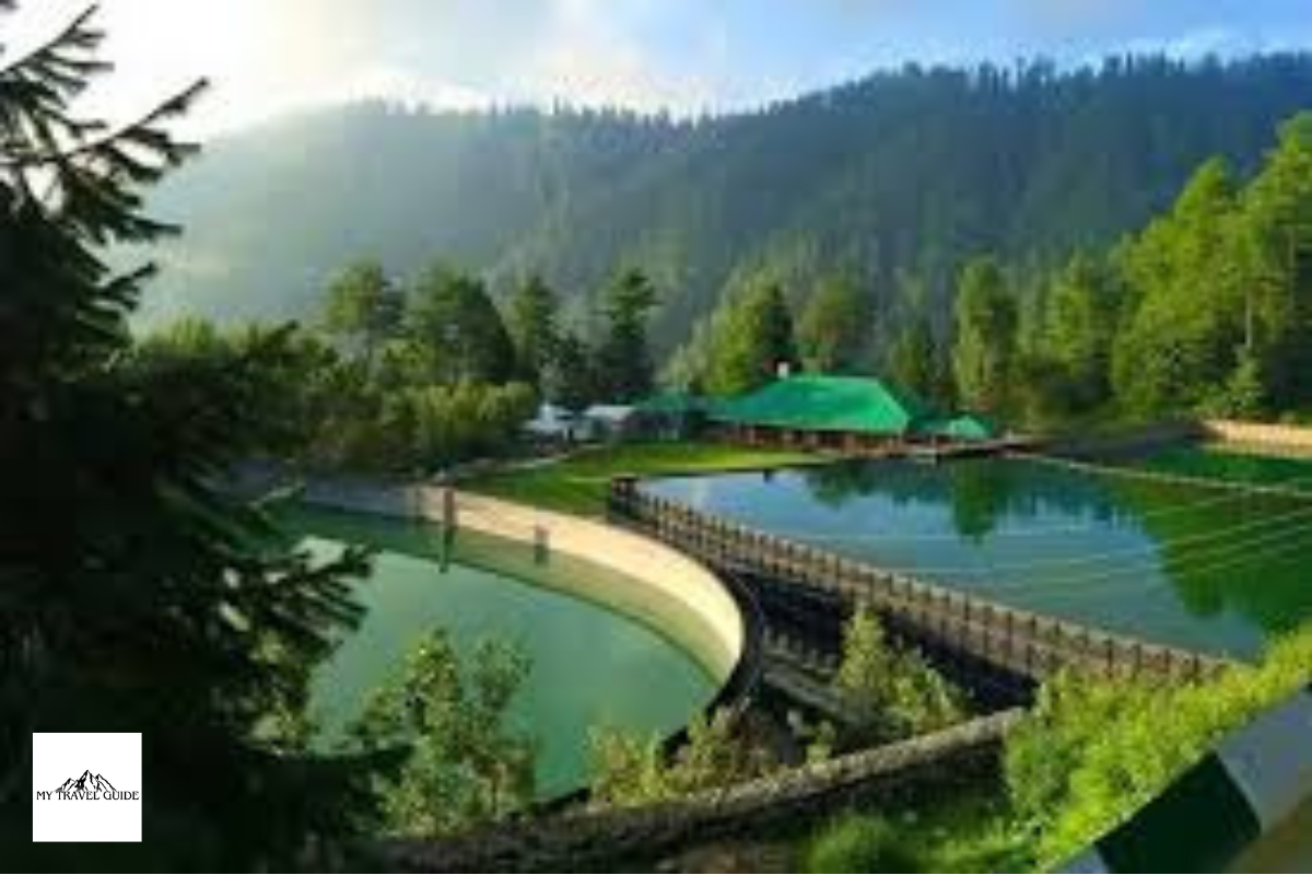 Nathia Gali - A Heaven On Earth - Dream Vista Travel